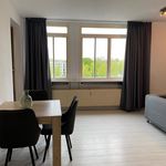Rent 1 bedroom apartment of 60 m² in Rotterdam