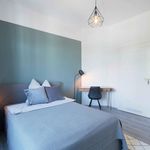 Rent 6 bedroom apartment in Frankfurt am Main