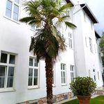 Rent 2 bedroom apartment of 50 m² in Baden
