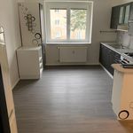 Rent 2 bedroom apartment in Sokolov