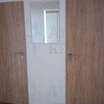 Rent 2 bedroom apartment of 44 m² in Brno
