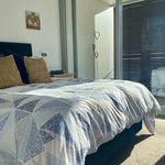 Rent 2 bedroom apartment in Napier