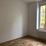 Rent 3 bedroom apartment of 49 m² in Nancy