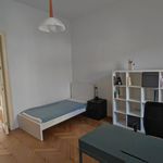 Rent 3 bedroom apartment of 100 m² in Staré Město
