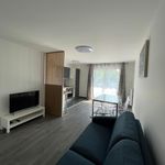 Rent 3 bedroom apartment of 65 m² in Longjumeau