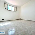 Affitto 2 camera appartamento di 52 m² in Palermo