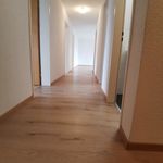Rent 5 bedroom apartment in Amriswil