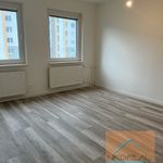 Rent 4 bedroom apartment of 87 m² in Staré Město