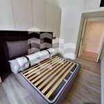 Rent 2 bedroom apartment of 48 m² in Sant'Egidio del Monte Albino