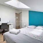 Rent 3 bedroom apartment of 56 m² in Albi