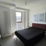 Rent 1 bedroom flat of 550 m² in London