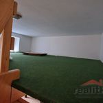 Rent 1 bedroom apartment in Opava