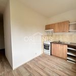 Rent 1 bedroom apartment of 59 m² in Chomutov