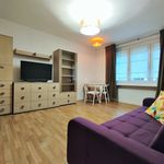 Rent 2 bedroom apartment of 45 m² in Łódź