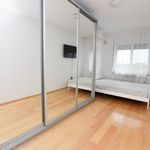 Rent 3 bedroom apartment of 75 m² in Toruń