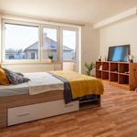 Pronajměte si 2 ložnic/e byt o rozloze 53 m² v Poděbrady