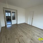 Pronajměte si 3 ložnic/e byt o rozloze 58 m² v Ústí nad Labem