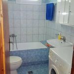 Rent 1 bedroom apartment of 45 m² in Rio