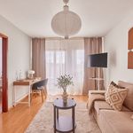 Rent 1 bedroom apartment of 43 m² in Kaiserslautern