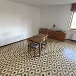 Rent 3 bedroom apartment of 100 m² in Cologno Monzese