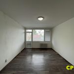 Rent 2 bedroom apartment of 42 m² in Litvínov