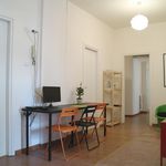 Affitto 8 camera appartamento in Roma
