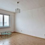 Rent 2 bedroom apartment of 26 m² in Havířov