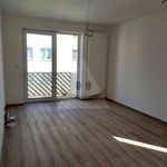 Rent 3 bedroom apartment of 62 m² in Číhošť