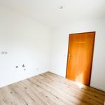 Rent 1 bedroom apartment of 50 m² in Erzgebirgskreis