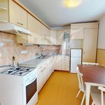 Rent 2 bedroom apartment of 50 m² in Plzeň