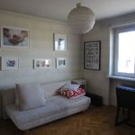 Rent 3 bedroom apartment of 69 m² in Włocławek
