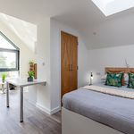 Rent 8 bedroom student apartment in Exeter