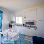 Rent 3 bedroom house of 80 m² in Terracina