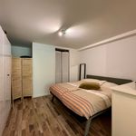 Rent 2 bedroom apartment of 54 m² in Maastricht