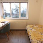 Rent a room in Hatfield