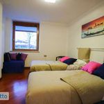 Rent 6 bedroom house of 350 m² in Casier