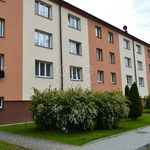 Rent 2 bedroom apartment of 55 m² in Zruč nad Sázavou