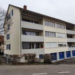 Rent 1 bedroom apartment of 28 m² in Schaffhausen