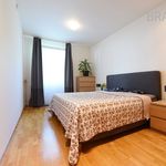 Rent 3 bedroom apartment of 72 m² in Prague