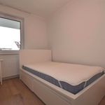 Rent 3 bedroom apartment of 62 m² in szczecin