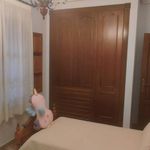 Alquilo 5 dormitorio casa de 270 m² en Murcia