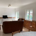 Rent 7 bedroom apartment of 250 m² in Mafra