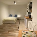Rent 1 bedroom apartment of 42 m² in Kiel