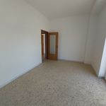 Affitto 1 camera appartamento di 120 m² in Brindisi