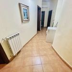 Rent a room of 72 m² in Roma