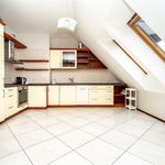 Rent 6 bedroom apartment of 200 m² in Szczecin
