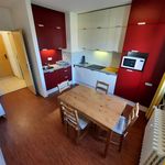 Rent 1 bedroom apartment of 42 m² in Mladé Buky