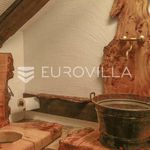 Najam 4 spavaće sobe kuća od 300 m² u Zagreb