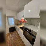Rent 1 bedroom apartment in Mazamet