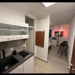 Miete 1 Schlafzimmer wohnung von 20 m² in Darmstadt